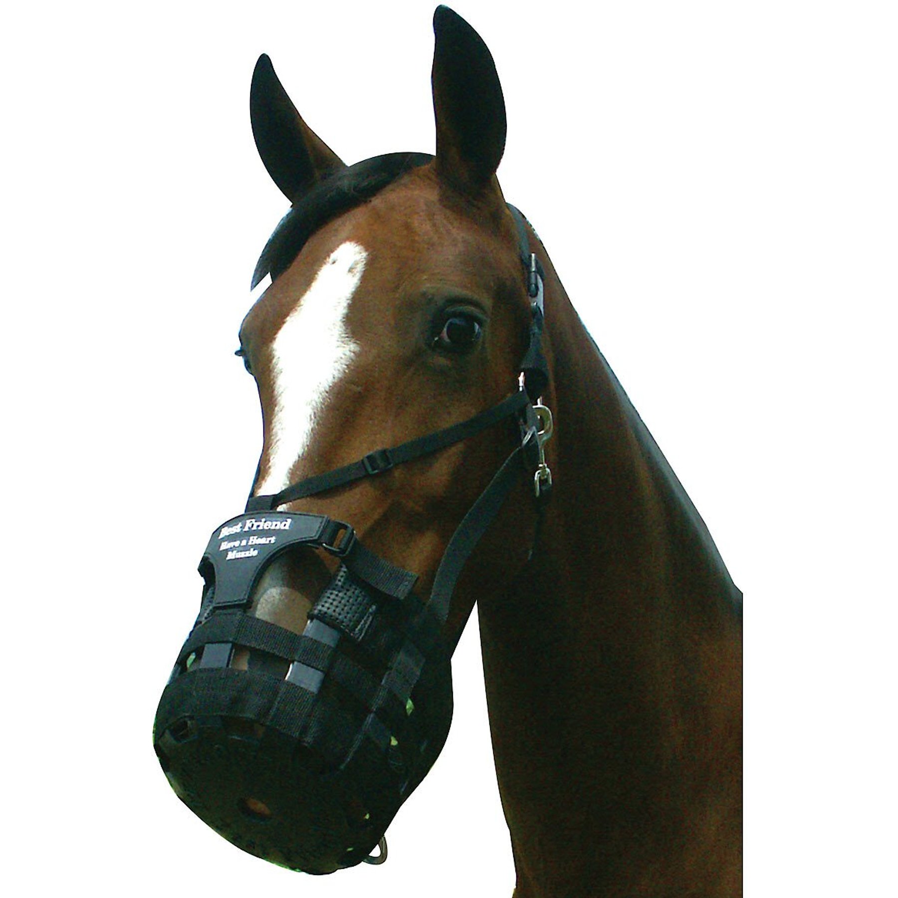 Best Friend Have-A-Heart Grazing Horse Muzzle, Cob