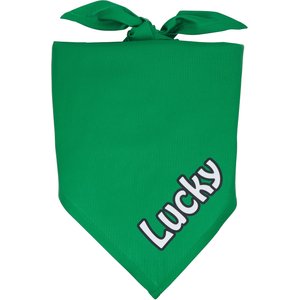 Frisco Solid Color Personalized Dog & Cat Bandana, Small, Green