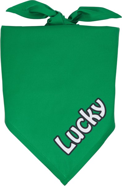 Frisco Solid Color Personalized Dog & Cat Bandana, Large, Green slide 1 of 8