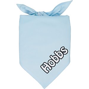 Frisco Solid Pastel Personalized Dog & Cat Bandana, Large, Sky Blue