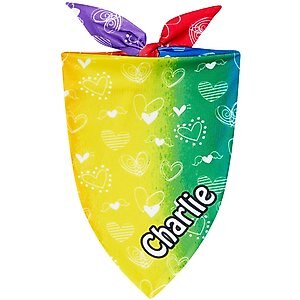 Frisco Rainbow Hearts Personalized Dog & Cat Bandana, Medium