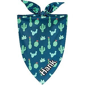 Frisco Cactus Personalized Dog & Cat Bandana, Medium