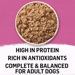 Purina Beyond Mixers+ Immune Support Turkey & Spinach Wet Dog Food Topper, 3-oz can, case of 12 slide 2 of 9