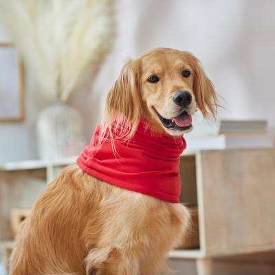 Show full view: Frisco Fleece Dog Snood, Red, X-Small/Small slide 6 of 8