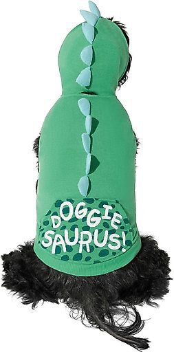 Frisco Doggiesaurus Dog & Cat Hoodie, Green, Small