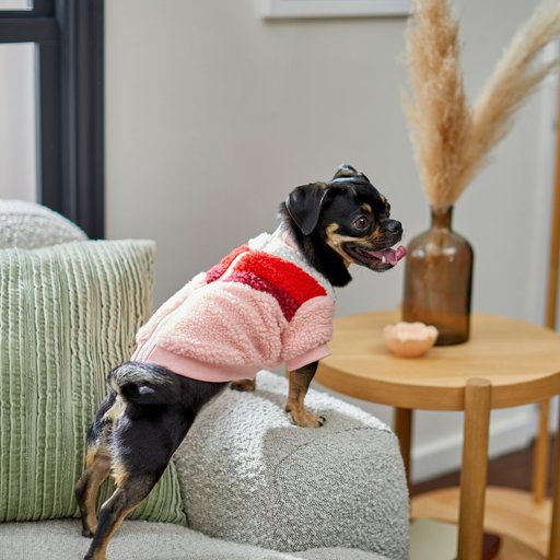 Frisco Lightweight Colorblock Pop Dog & Cat Zippered Sherpa Fleece Vest, Large