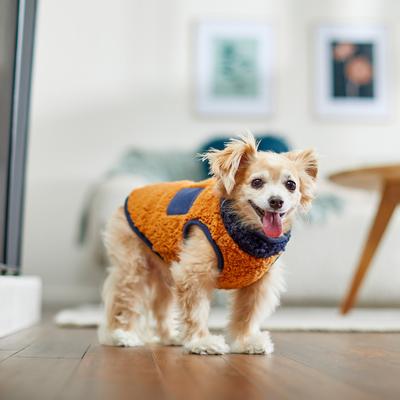 Show full view: Frisco Lightweight Colorblock Dog & Cat Zippered Sherpa Fleece Vest, Blue/Brown, X-Small slide 6 of 8