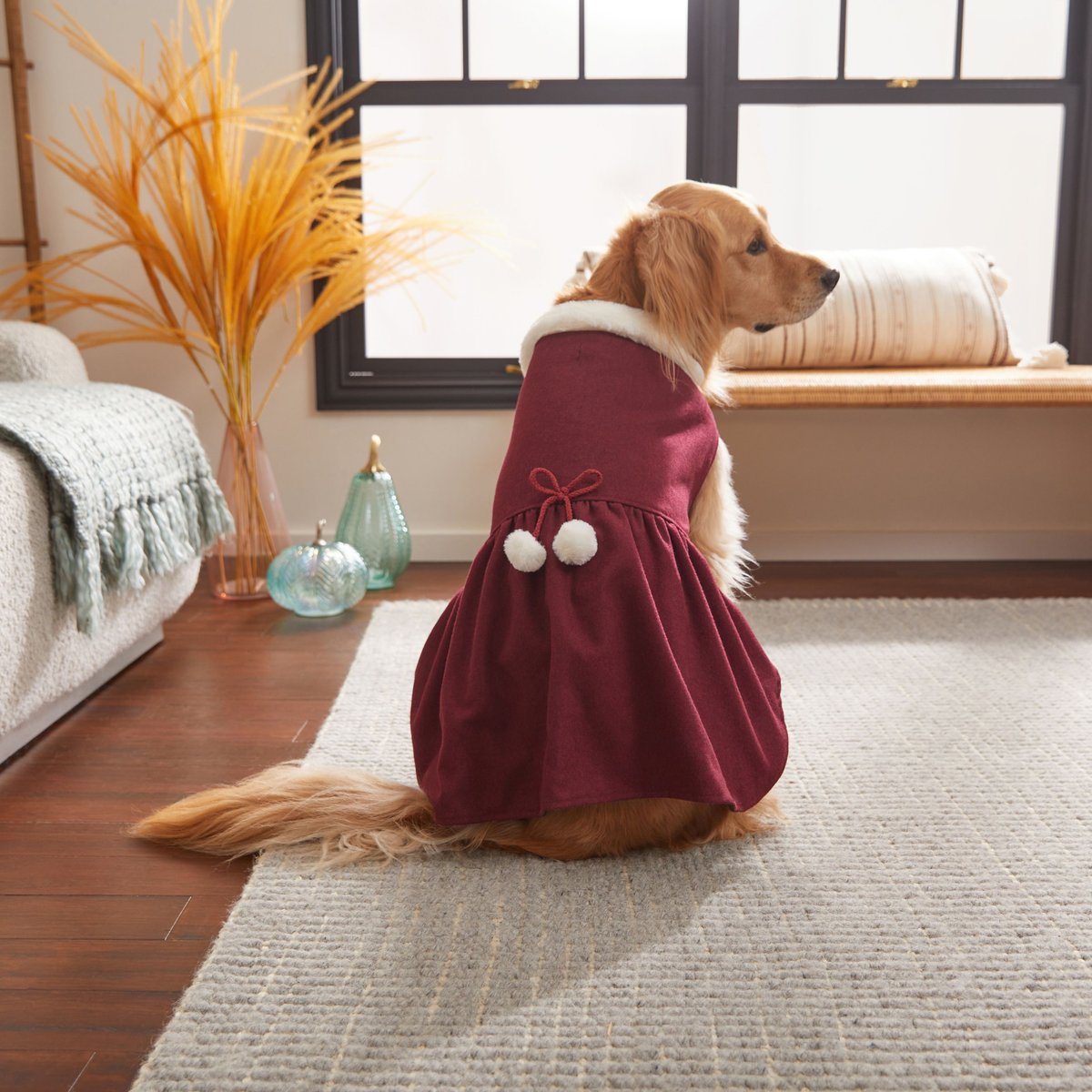 Frisco Dog & Cat Peacoat