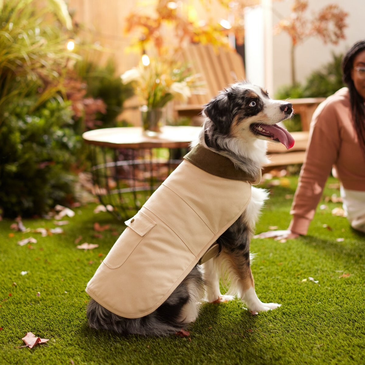 Frisco Mediumweight Cotton Duck Canvas Dog & Cat Jacket, Tan