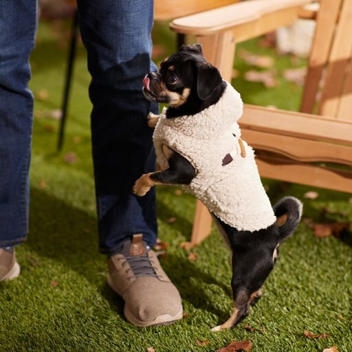 Frisco Lightweight Soft Sherpa Dog & Cat Coat, Oatmeal, Medium