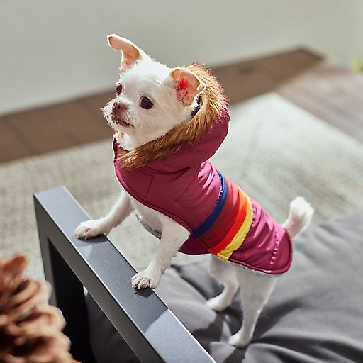 Frisco Mediumweight Colorblock Adventure Insulated Dog & Cat Parka, Red, Medium