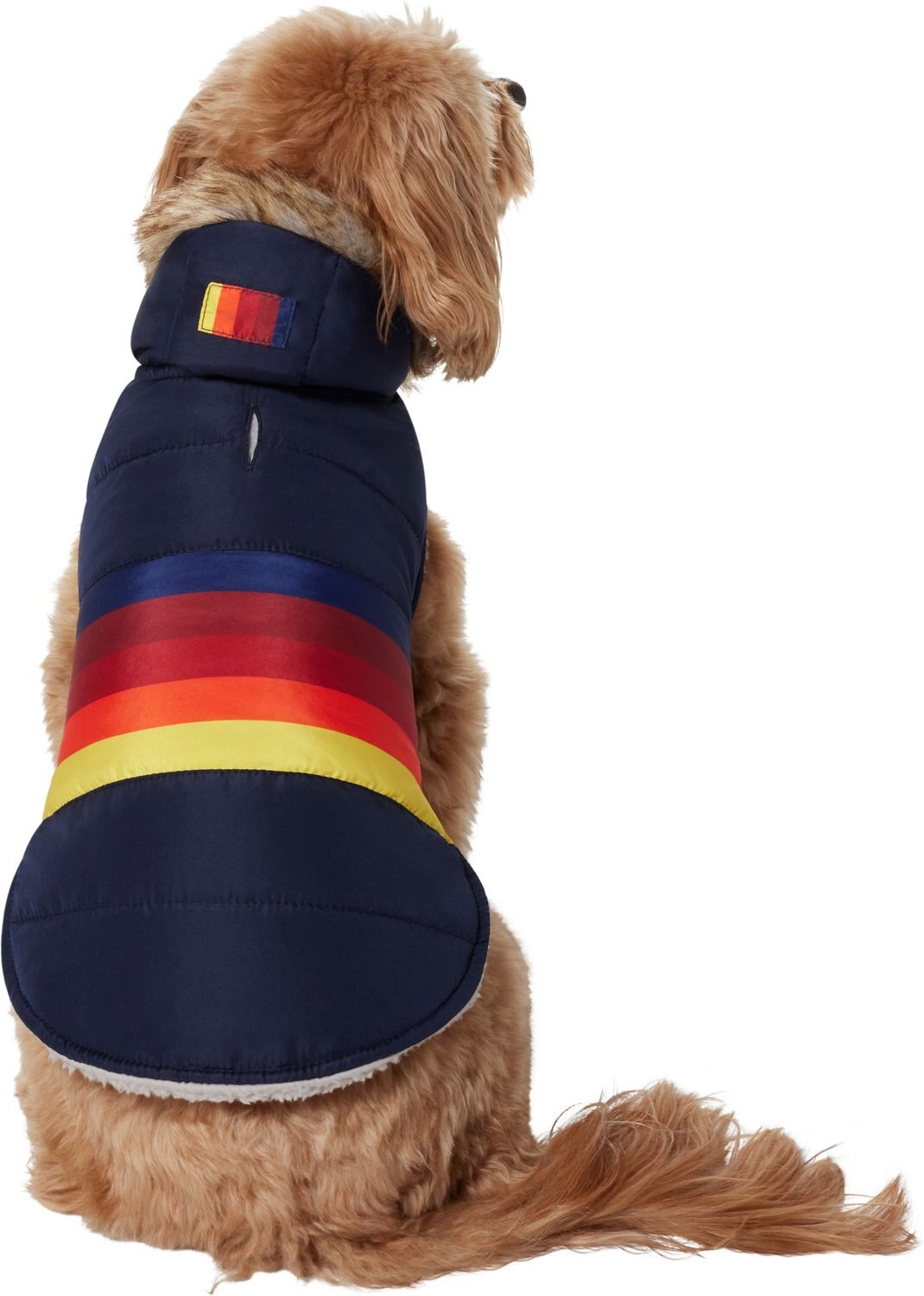 Frisco Mediumweight Colorblock Adventure Insulated Dog & Cat Parka