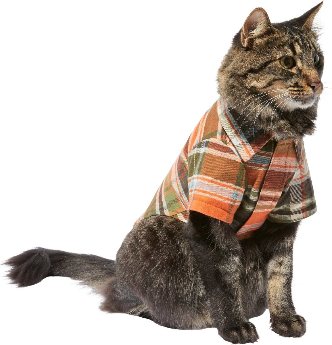 Image showcasing Discontinued - FRISCO Orange & Olive Plaid Dog & Cat Flannel Shirt ...