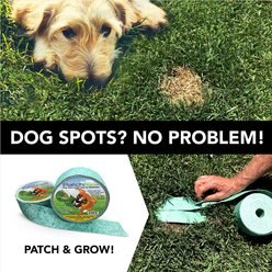 Patchtrax Cold Season Blend Dog Spot Repair Strip slide 2 of 5