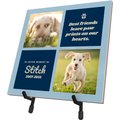 Frisco Personalized "Best Friends" Memorial Ceramic Photo Tile with Stand, 8" x 10"