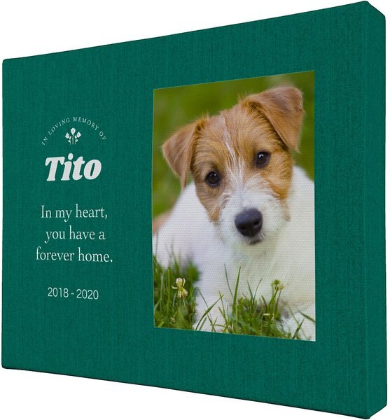 Frisco Personalized "Forever Home" Memorial Rustic Wood Wall Decor, 16" x 20"
