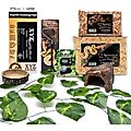 XYZReptiles Corn Snake Reptile Starter Kit
