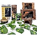 XYZReptiles Snake Habitat Starter Kit