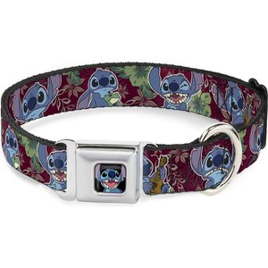 Buckle-Down Lilo & Stitch 6-Expressions Tropical Flora Polyester Dog Collar, Small: 9.5 to 13-in neck, 1-in wide