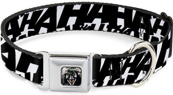 Buckle-Down Joker Holding Head Pose Polyester Dog Collar, Medium: 11 to 16.5-in neck, 1-in wide slide 1 of 9