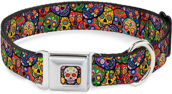Buckle-Down Sugar Skull Starburst Polyester Dog Collar, Small: 9.5 to 13-in neck, 1-in wide slide 1 of 9