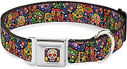 Buckle-Down Sugar Skull Starburst Polyester Dog Collar, Medium: 11 to 16.5-in neck, 1-in wide