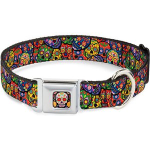 Buckle-Down Sugar Skull Starburst Polyester Dog Collar, Medium: 11 to 16.5-in neck, 1-in wide