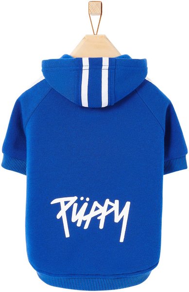 Frisco Püppy Dog & Cat Athletic Hoodie, Blue, Small slide 1 of 11