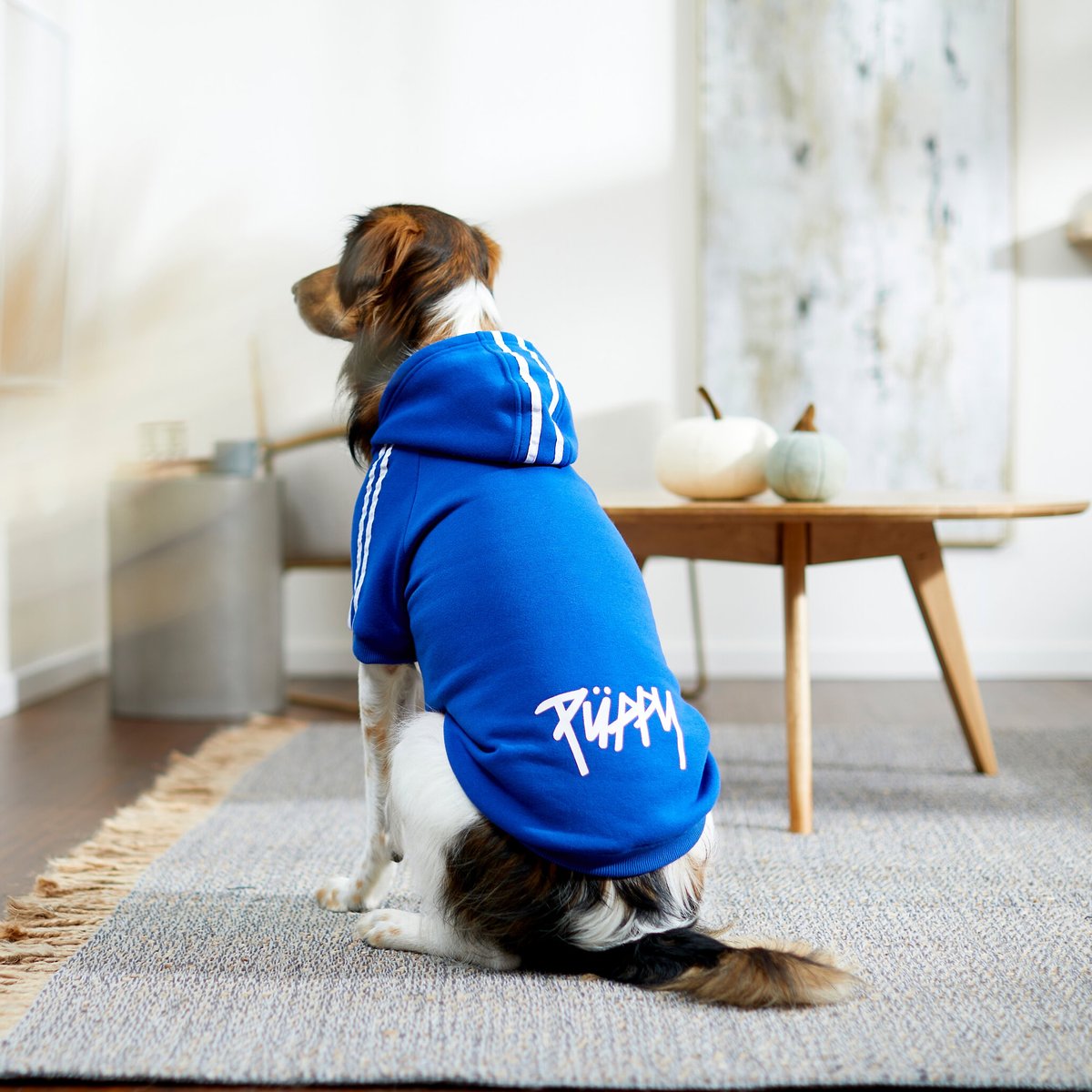 Pup Crew Drinking Buddy Dog Hoodie