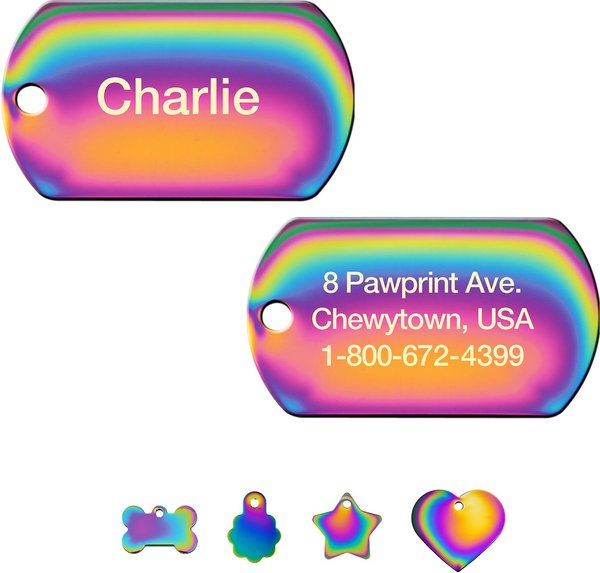 Quick-Tag Coated Metal Personalized Dog & Cat ID Tag, Metallic Rainbow, Large Military slide 1 of 4