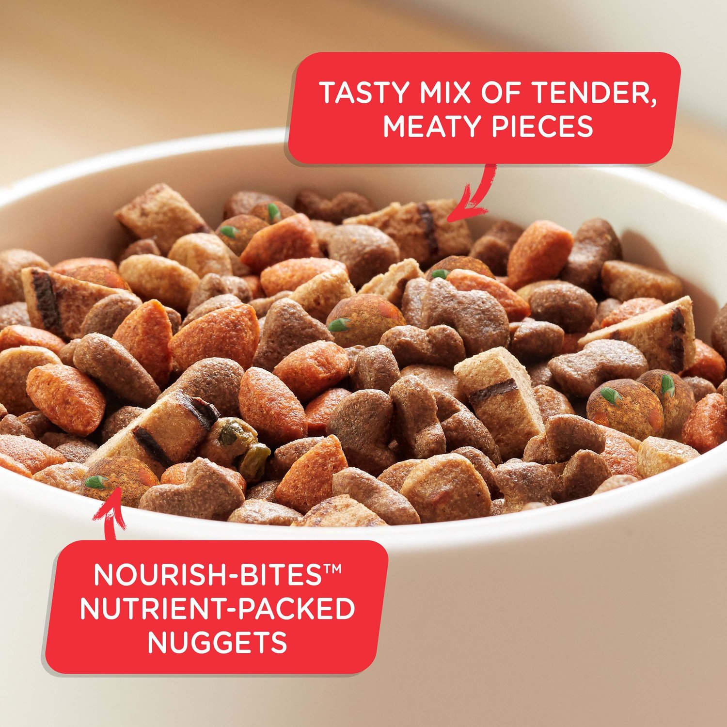 Rachael Ray Nutrish Big Life Large Breed Hearty Beef, Veggies & Brown Rice Recipe Dry Dog Food, 28-lb bag