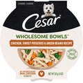Cesar Wholesome Bowls Chicken, Sweet Potato & Green Beans Recipe Adult Wet Dog Food, 3-oz tray, case of 10