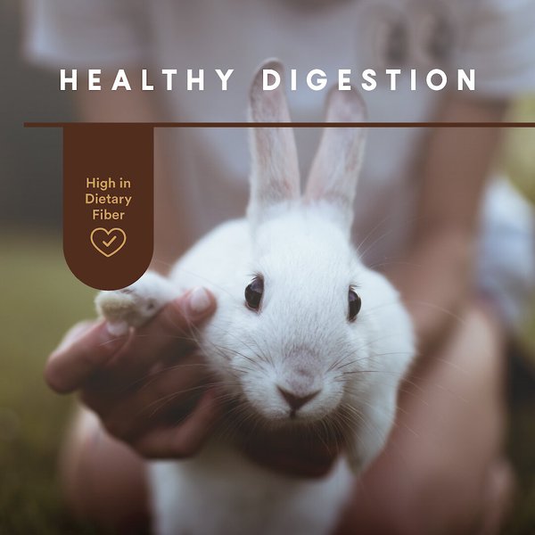 MANNA PRO Crafted & Complete Rabbit Food, 5-lb bag - Chewy.com