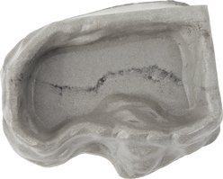 CC Pet Corner Reptile Soaking Bowl, Grey, Large slide 2 of 3