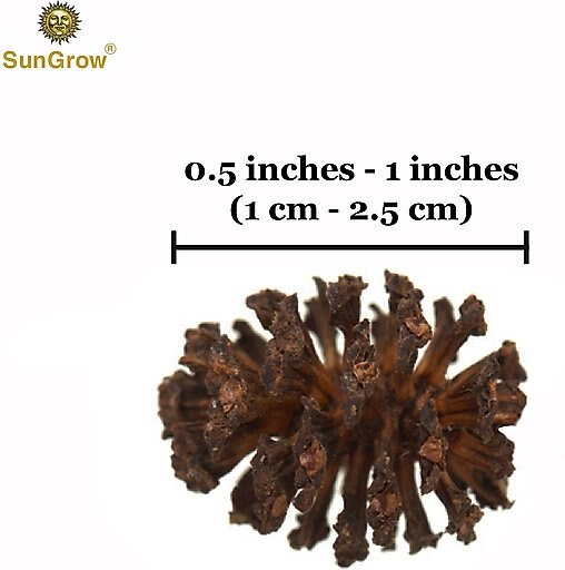 SunGrow Shrimp Breeding Aquarium Tank Water Conditioner & Food Alder Cones, 50 count