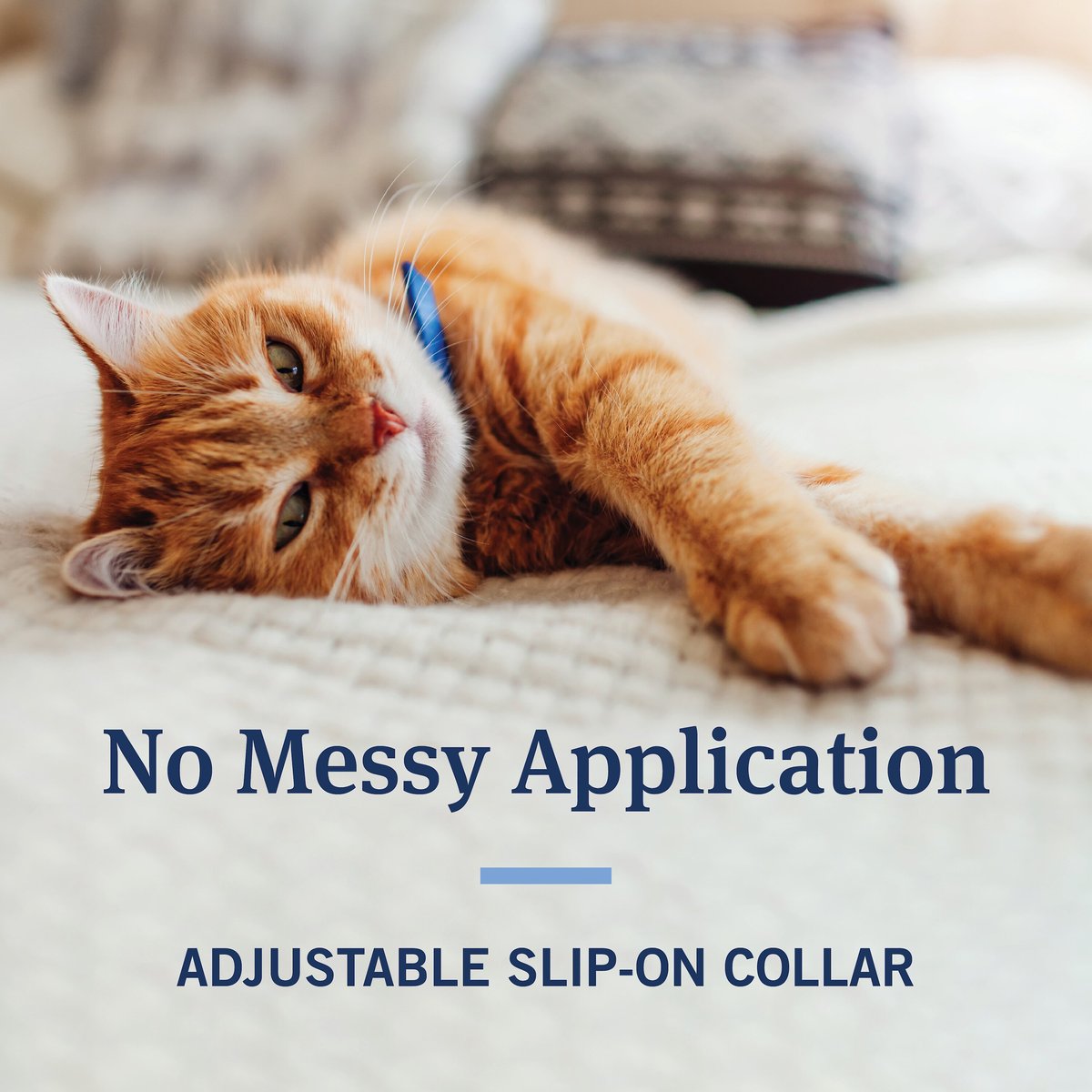 Chewy cat flea clearance collar