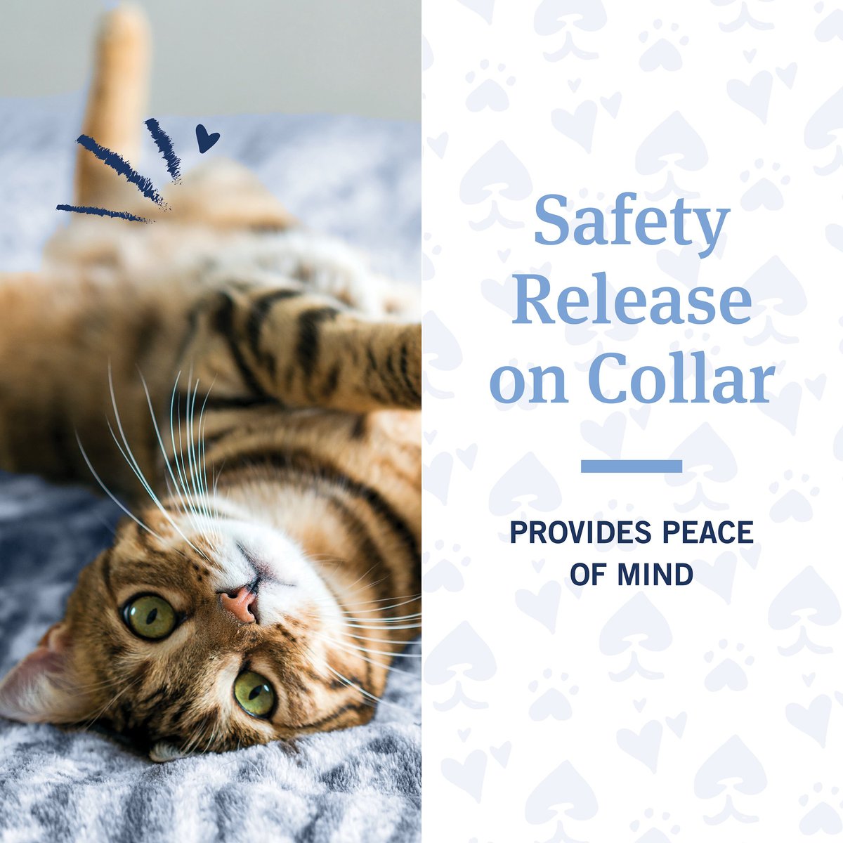 Petarmor cat cheap calming collar