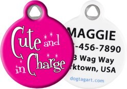 Dog Tag Art Cute & in Charge Personalized Dog & Cat ID Tag, Small