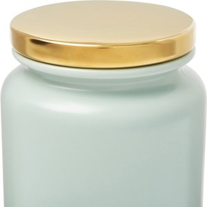 Frisco Modern Gold Rim Ceramic Treat Jar, Soft Seafoam, 5 cup