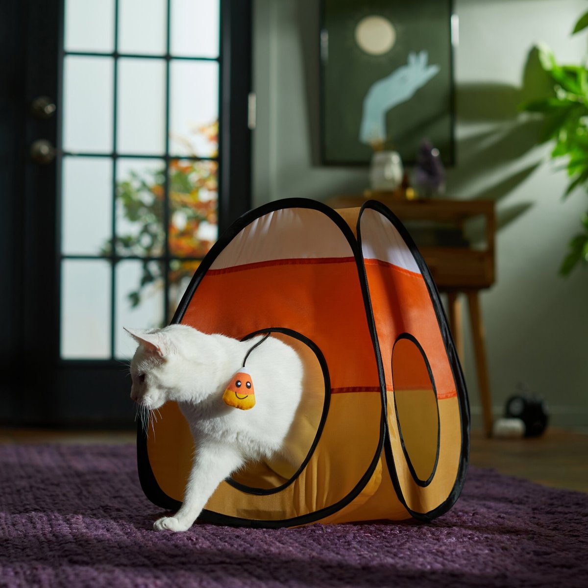 Chewy cat outlet tent