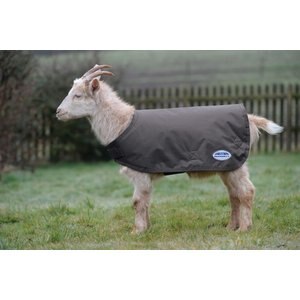 WeatherBeeta Goat Coat, Grey, X-Small