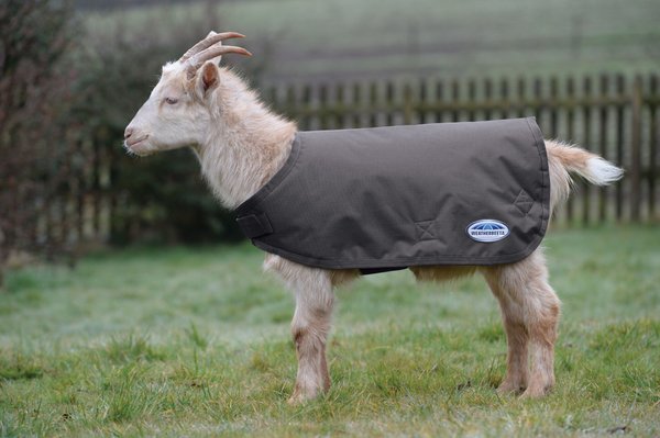 WeatherBeeta Goat Coat, Grey, Small slide 1 of 3
