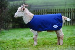 WeatherBeeta Goat Coat, Navy, Large slide 1 of 2