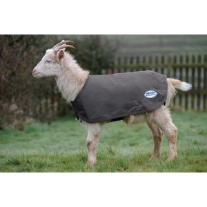 WeatherBeeta Deluxe Goat Coat, Grey, XX-Large