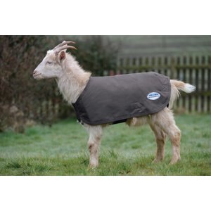 WeatherBeeta Deluxe Goat Coat, Grey, X-Small