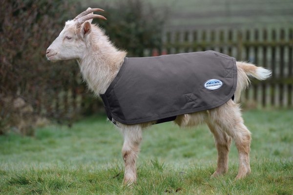 WeatherBeeta Deluxe Goat Coat, Grey, Large slide 1 of 2