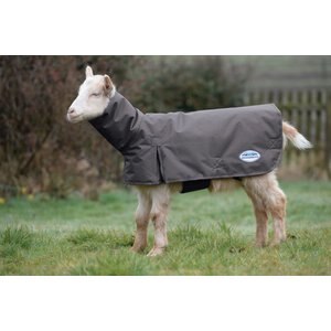 WeatherBeeta Goat Coat w/ Neck, Grey, X-Small