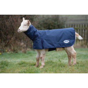 WeatherBeeta Goat Coat w/ Neck, Navy, Medium