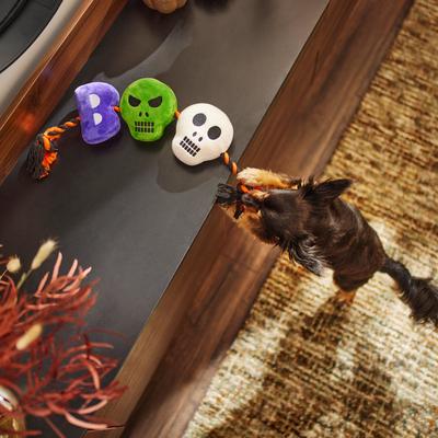 Show full view: Frisco Halloween Boo! Plush with Rope Squeaky Dog Toy slide 3 of 6