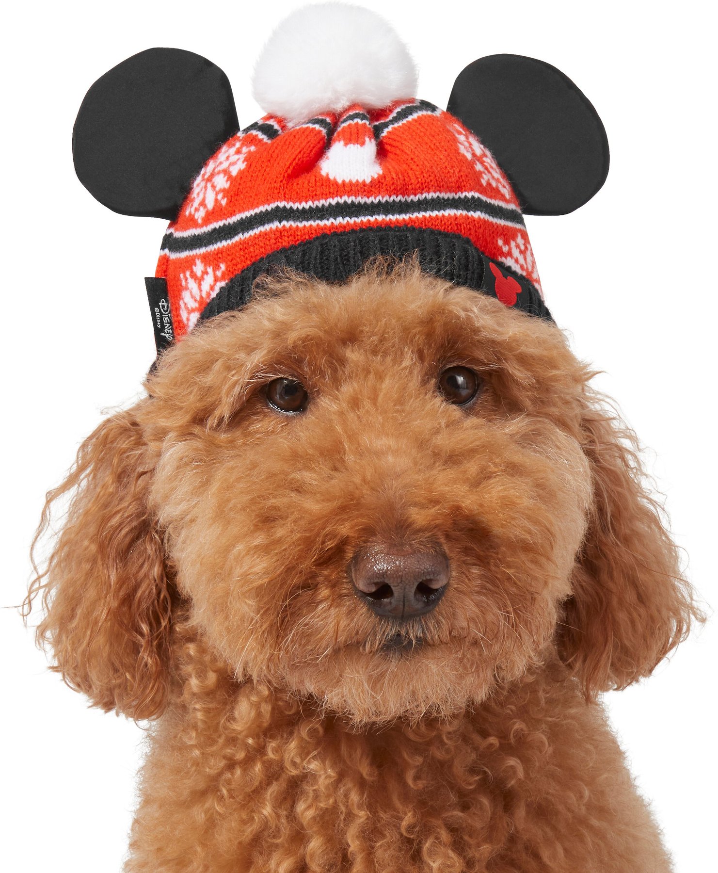 disney dog hat